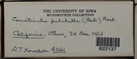 Image Associated With the Occurence